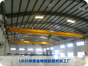 LD2t單梁起重機-金峰塑膠原料加工廠